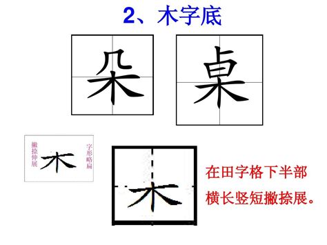 有木字旁的字|木字旁(木部)